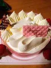 ちょこのすけ☆。.:＊・゜