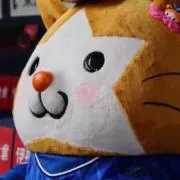 メイの画像