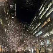 あこたんの画像