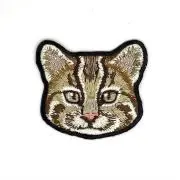 きんシドめいの画像
