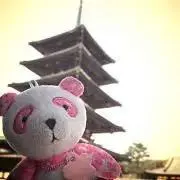 柚子【即購入歓迎】