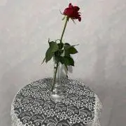 ゆきの画像