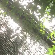 角間の画像