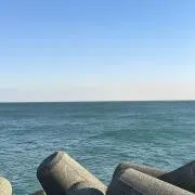 Y(説明欄をご確認お願いします)の画像
