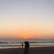 くるりの画像