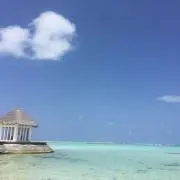いっくんの画像