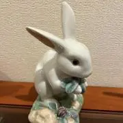 シロウサギの画像