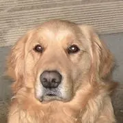キセキ