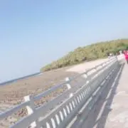 さおちん