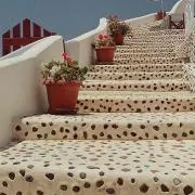 ブルーノの画像