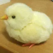 千葉タマのふ