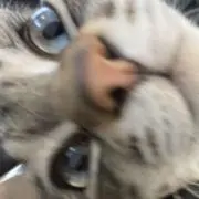 りの画像