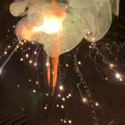 カプの画像