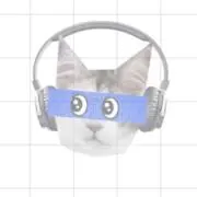ミズキの画像