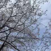 syunnnnnの画像