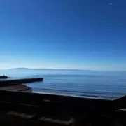 あおいの画像
