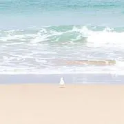 perfectの画像