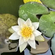 華〜プロフ必読　断捨離中の画像