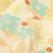 断捨離中Aanaの画像
