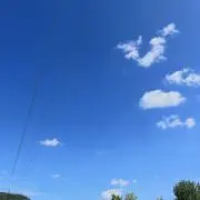 Azukiの画像