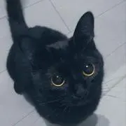 くろ