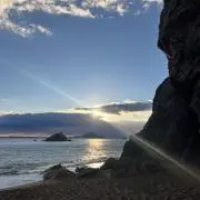 yesの画像