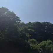 らいの画像