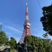 GLC45の画像