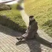 きなこ。プロフィール読んでください☺︎