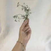 MORRISの画像