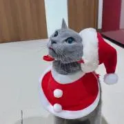りょーま