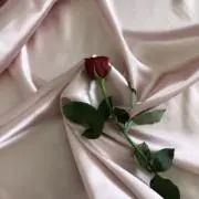 uの画像