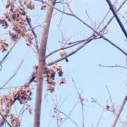 @です