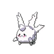 サニーの画像