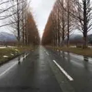 Hid Oka