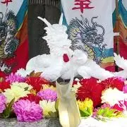 聖闘士星矢 〜神々の熱き戦い〜 劇場版 フレイ セル画 背景付き 荒木