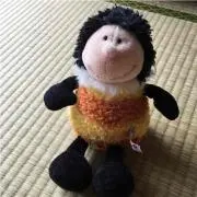 Rosaの画像