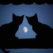 くると