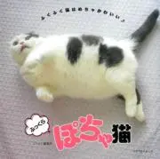まるねこ 古着 フォロー値下げの画像