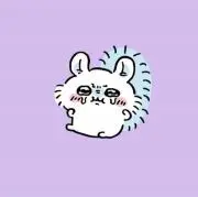 けこ