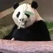 じゃすの画像