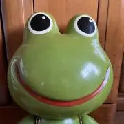おまめ。の画像