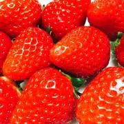 SUの画像