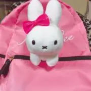 Liccaの画像