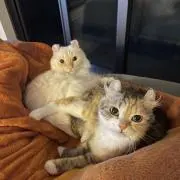 Milkoの画像