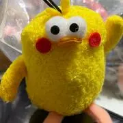 カズ【即購入OK】の画像