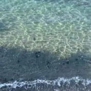 North Shoreの画像