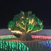 はな