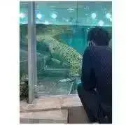 ばやぴ