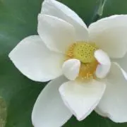 隼人★プロフ必読★の画像
